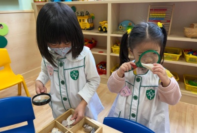 batch_IMG_9348