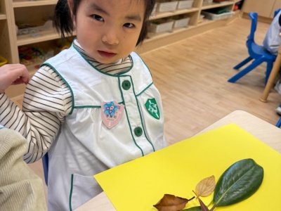 1月-上幼C