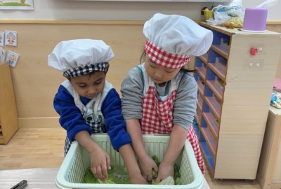 batch_IMG_7513