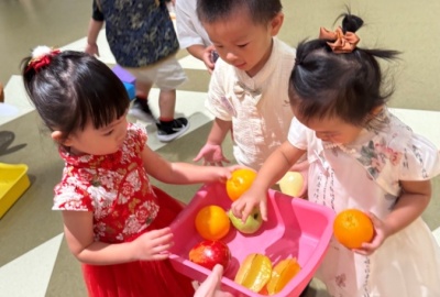 batch_IMG_0737
